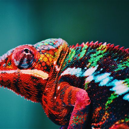 UK Employer NIC and Minimum Wage Changes