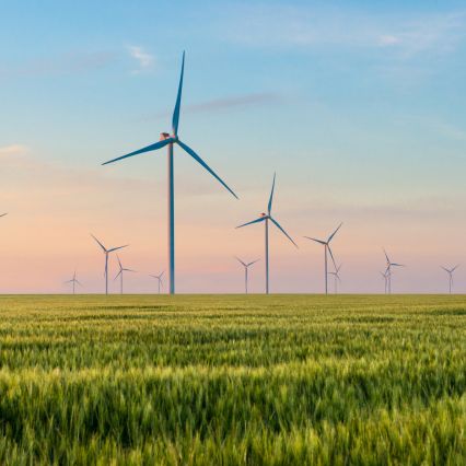 A wind farm - the Autumn budget effect on UK engineering